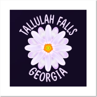 Tallulah Falls Georgia Posters and Art